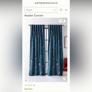 Anthropologie Keelan curtain panels (2 panels) 50x96
